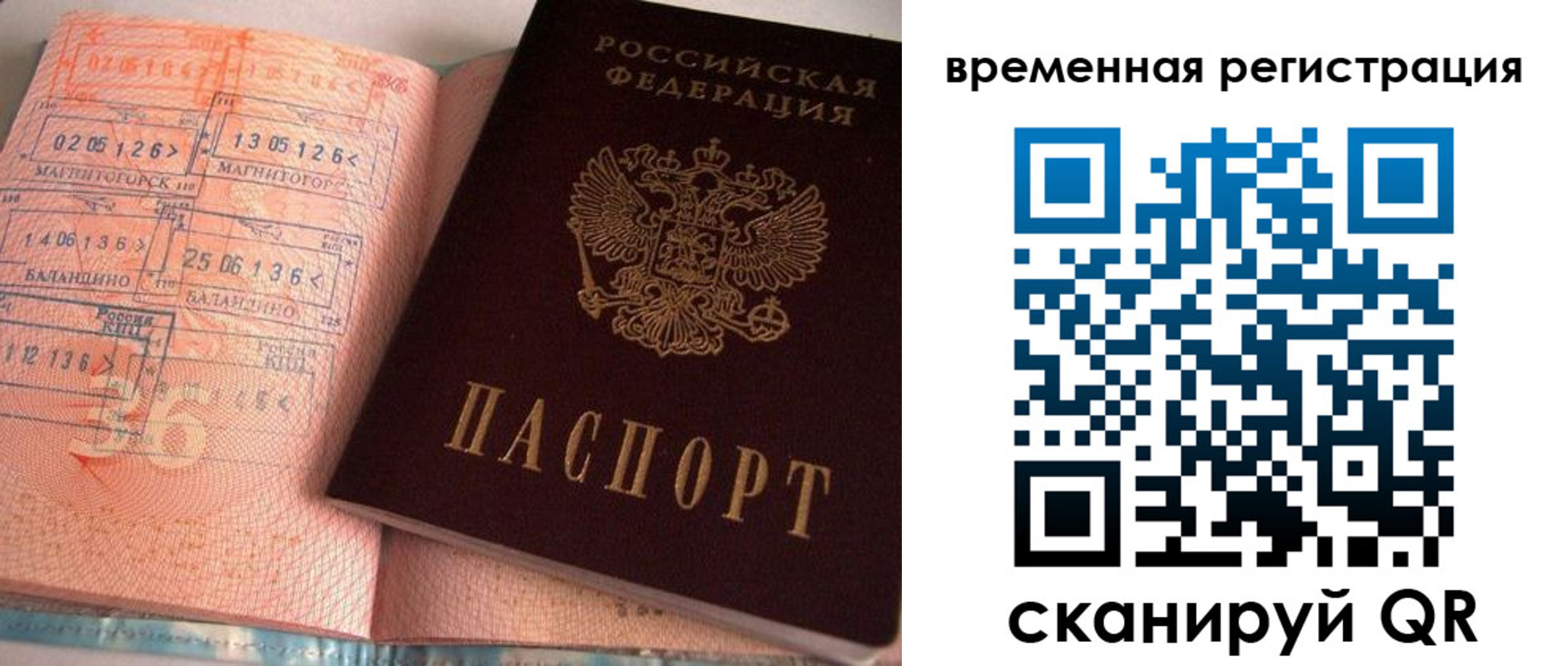 регистрация для школы в Елизово